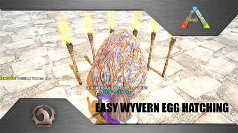 I am here to assist you in getting the answers you nee. . How to incubate wyvern eggs
